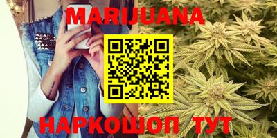 Альфа ПВП Бердск