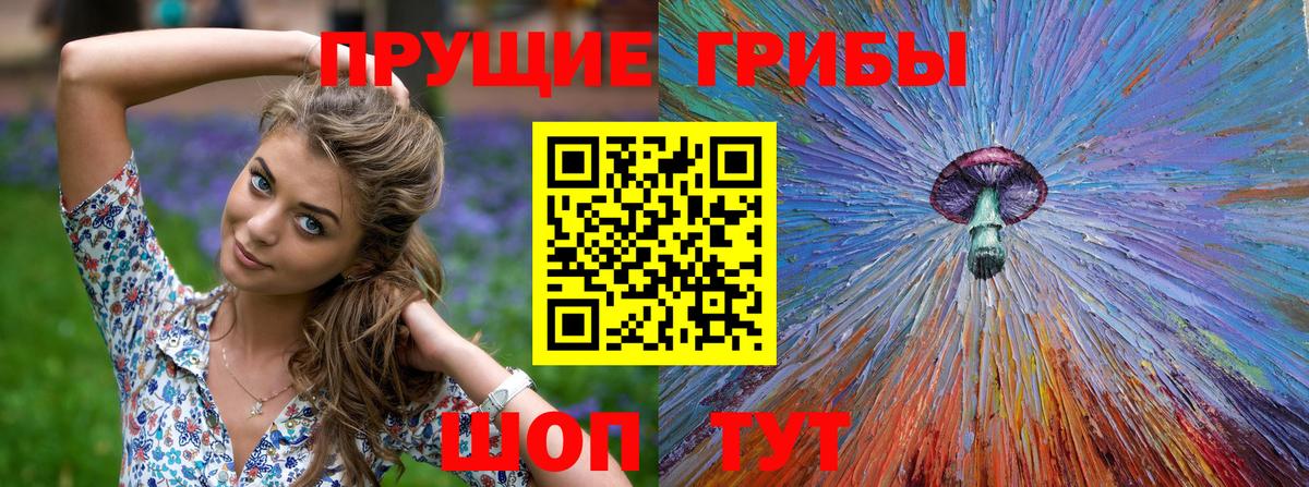 Галлюциногенные грибы прущие грибы  Вход с VPN  Астрахань 