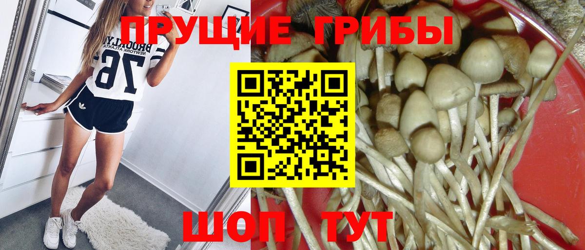 Галлюциногенные грибы ЛСД Астрахань