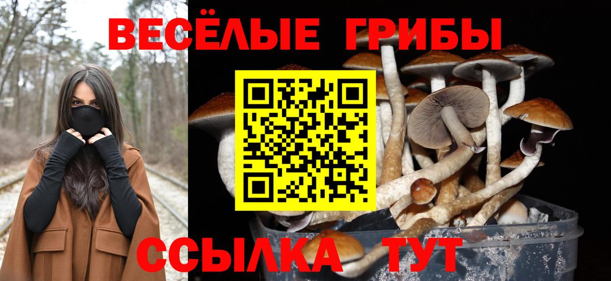  COCAIN Астрахань